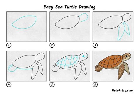 Easy Sea Turtle Drawing Helloartsy Sea Turtle Drawing Turtle