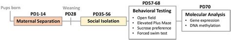 Frontiers Sex And Estrous Cycle Effects On Anxiety And Depression