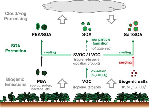 Biogenic Emissions From Land Plants Including Isoprene And Their