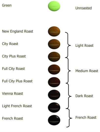 coffee roast levels