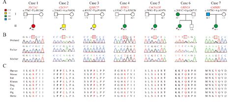 Clinical Application Of Trio Based Whole Exome Sequencing In Idiopathic