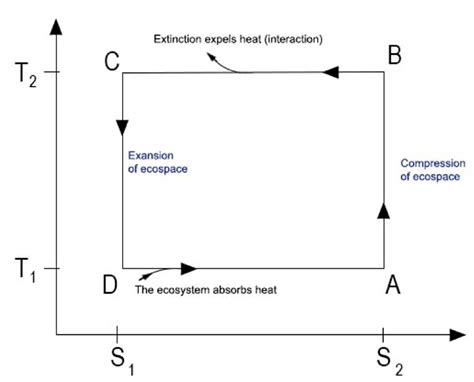 The Thermodynamic Considerations Of Biological Evolution The Role Of