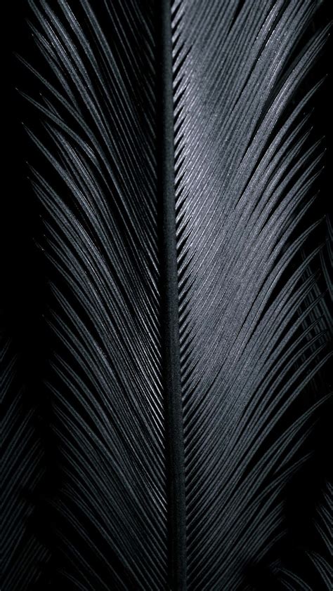 Shiny Black Wallpaper