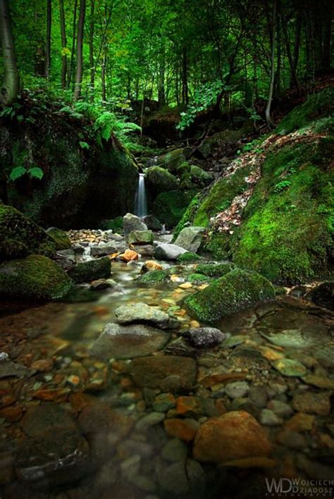 Babbling Brook Garden Pinterest