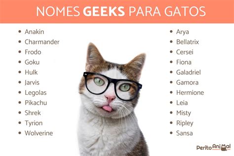 Nomes Engracados Para Gatos