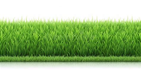 Seamless Grass Realistic Lawn Horizontal Pattern AI Generative Stock