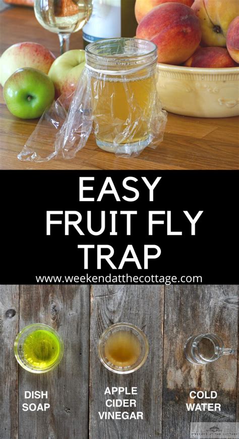 Homemade Fruit Fly Trap - Weekend at the Cottage | Homemade fruit fly ...