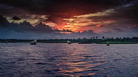 Premium Photo | Dark sunset in ashtamudi lake kollam