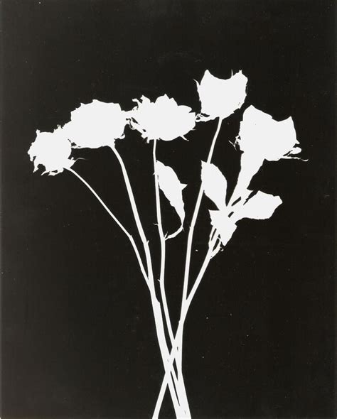 Rose Bouquet Photogram For My Photograms Go To My Blog Andor Click Here