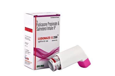 Salmeterol Fluticasone Inhaler at Best Price in Surat, Gujarat ...