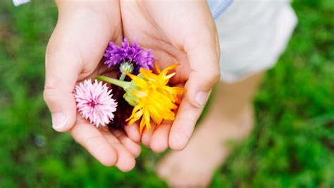 Les plantes font elles toutes des fleurs épisode 11 du podcast Les