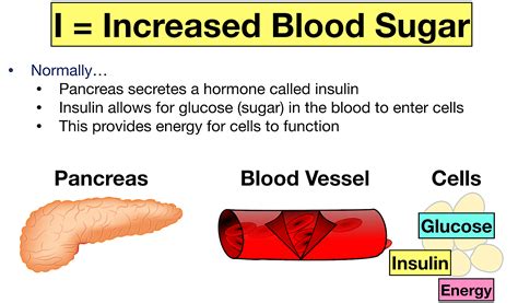 7 Statin Side Effects You Need To Know Drug Pros And Cons EZmed