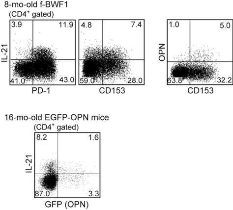 Figure S3 The Majority Of Opn Tf Cells Do Not Express Il 21 The