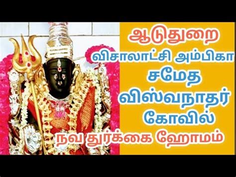 ஆடதற வசலடச அமபக சமத வஸவநதர கவல நவ தரகக ஹமம