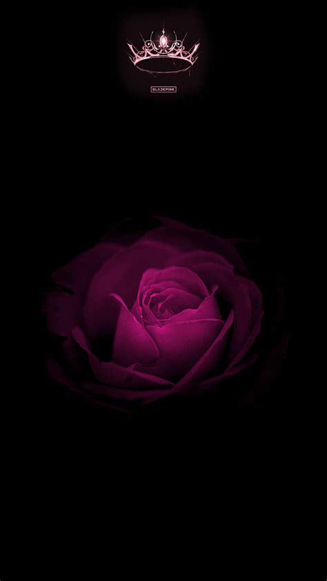 Top Rose Blackpink Wallpaper Full Hd K Free To Use