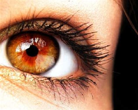 Estudo Revela Quais S O As Cores De Olhos Mais Raras Do Mundo