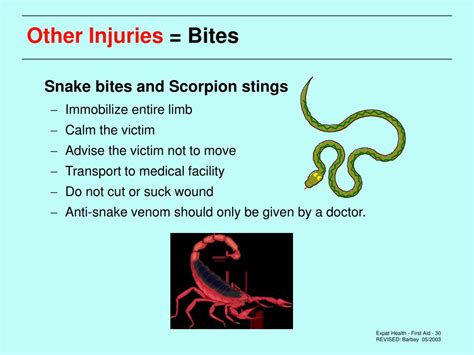 What To Do About Scorpion Stings Scorpion Sting Diagnosis And Treatment