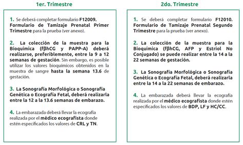 Analisis Cribado Primer Trimestre Big Discounts Riderbraces