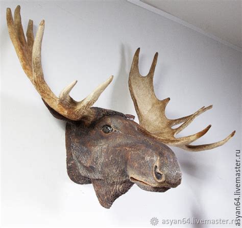 Голова лося на стену в интернет-магазине Ярмарка Мастеров по цене 45000 ...