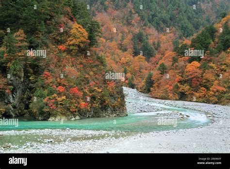 Kurobe Gorge In Autumn Leaves Stock Photo Alamy