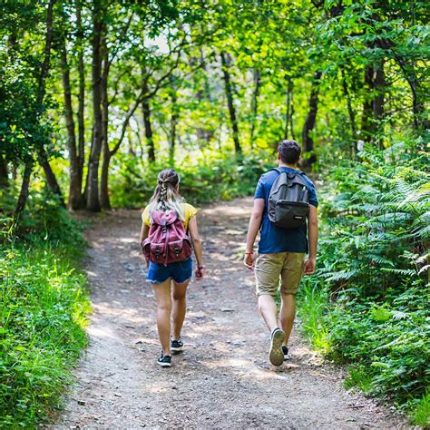 LÉcotourisme les bons gestes pour des vacances inoubliables et