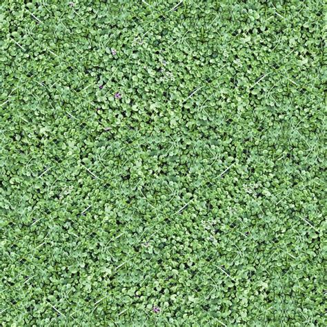 Premium Photo Seamless Green Grass Ground Pattern Background Texture