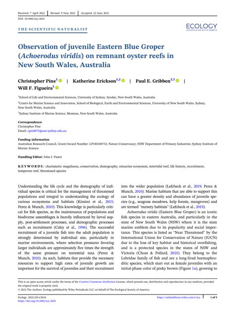 Pdf Observation Of Juvenile Eastern Blue Groper Achoerodus Viridis