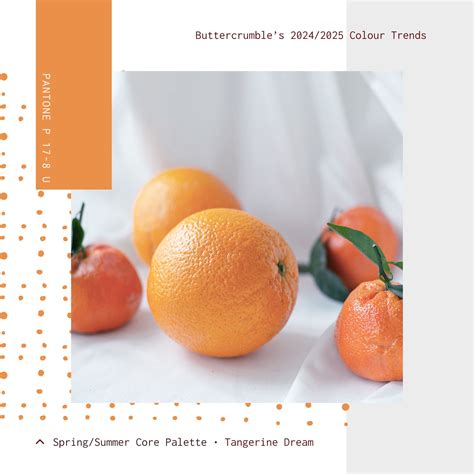 Refresh Your Brand with 2024/2025 Colour Trends — Buttercrumble