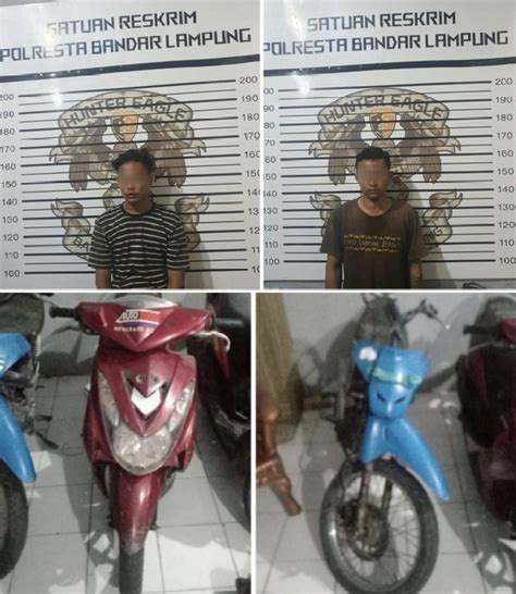 Beraksi 50 Kali Spesialis Pencuri Motor Di Lampung Ditangkap Tim Tekab