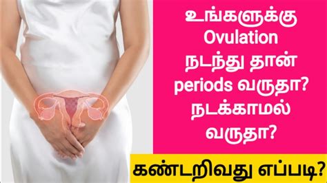 Find Ovulated Or Not In Tamil Pregnancy Tips In Tamil How To Find