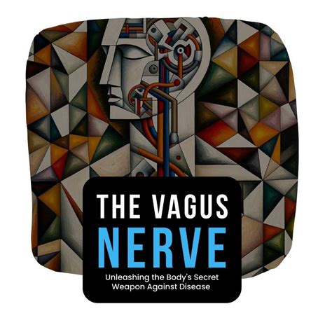 Shared post - Vagus Nerve Dysfunction Types Guide