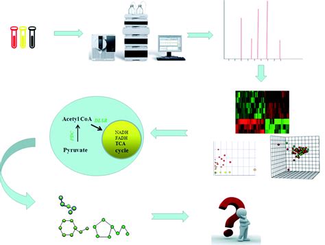 Metabolomics Biotechnology Applications And Future Trends A