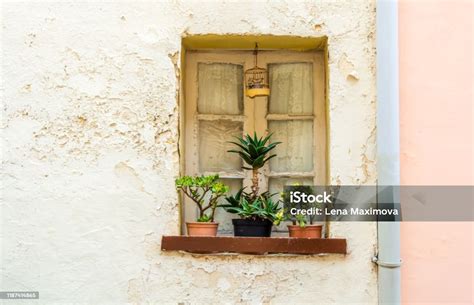 Window With Lace Curtains Flowers And Artificial Bird Cage Stock Photo