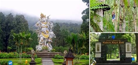 BEDUGUL BOTANICAL GARDEN - 1# Of The Amazing Tourist Destinations In ...