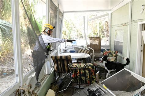 Dvids Images Fema Urban Search And Rescue Teams Use Canine Teams To