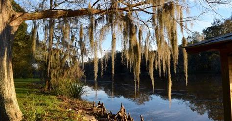 Bayou Teche Scenic Byway | Explore Louisiana