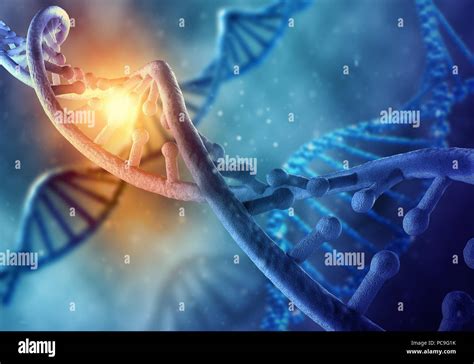 Dna Double Helix Dna Strand Stock Photo Alamy