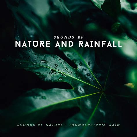 Sounds Of Nature And Rainfall Album By Sounds Of Nature