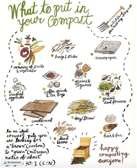 Printable Compost List