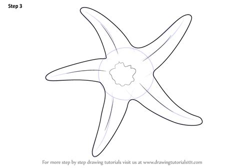 Step by Step How to Draw a Starfish : DrawingTutorials101.com