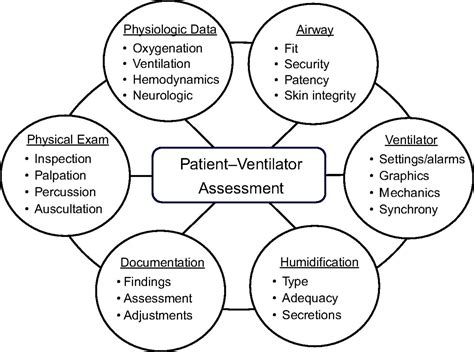 Aarc Clinical Practice Guideline Patient Ventilator Assessment Respiratory Care