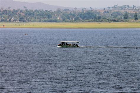 Kabini River Safari Pictures | Download Free Images on Unsplash