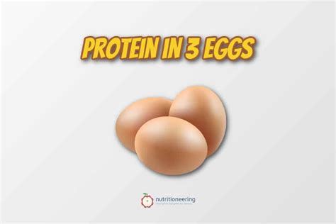 Protein In 3 Eggs | Protein, Ground beef nutrition, Nutrition coach