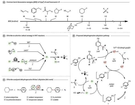 【有机】通过光诱导催化氯自由基生成的交叉脱氢sp3碳 氢杂芳基化反应