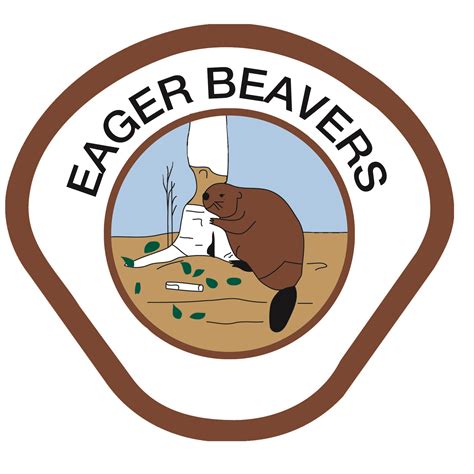 Young Eager Beavers – Telegraph