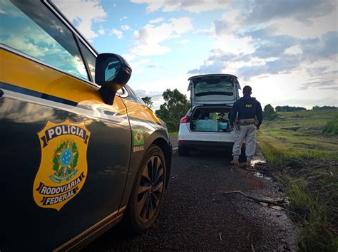 PRF intensifica fiscalização e apreende mais drogas e armas em 2023 no