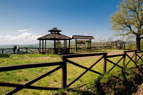 Zmajevac recreational area (Fruška gora) - Novi Sad Tourism Organisation