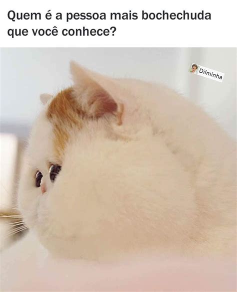 Quem é a pessoa mais bochechuda que você conhece Memes