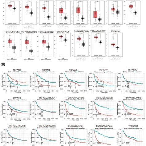 Expression Profile And Prognostic Value Of Tspans In Patients With Gbm