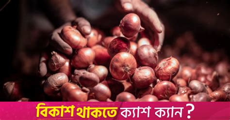 Indian Govt To Procure 1 650 Tonnes Of Onions For Bangladesh Export